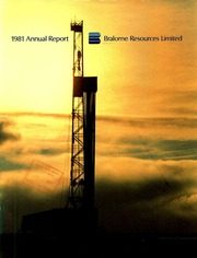 Bralorne Resources Limited 1981 cover
