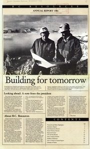 British Columbia Resources Investment Corporation 1981 cover