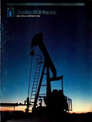 BlueSky Oil & Gas Ltd 1984 cover