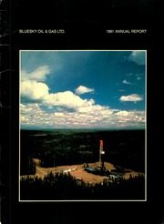 BlueSky Oil & Gas Ltd 1981 cover