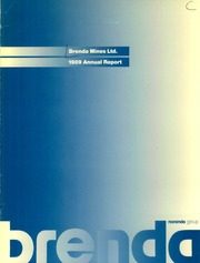 Brenda Mines Ltd 1989 cover