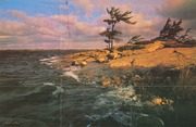 Canada Life Insurance Company 1980 cover