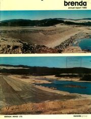 Brenda Mines Ltd 1980 cover