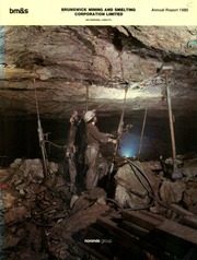 Brunswick Mining and Smelting Corporation Limited 1980 cover