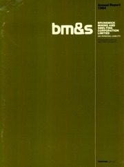 Brunswick Mining and Smelting Corporation Limited 1984 cover