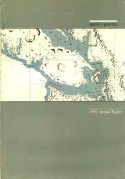 Brinco Limited 1983 cover