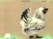 Culinar Inc 1985 cover