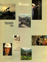 Brinco Limited 1980 cover