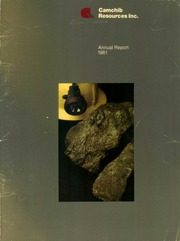 Camchib Resources Inc 1981 cover