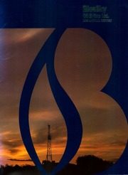 BlueSky Oil & Gas Ltd 1985 cover