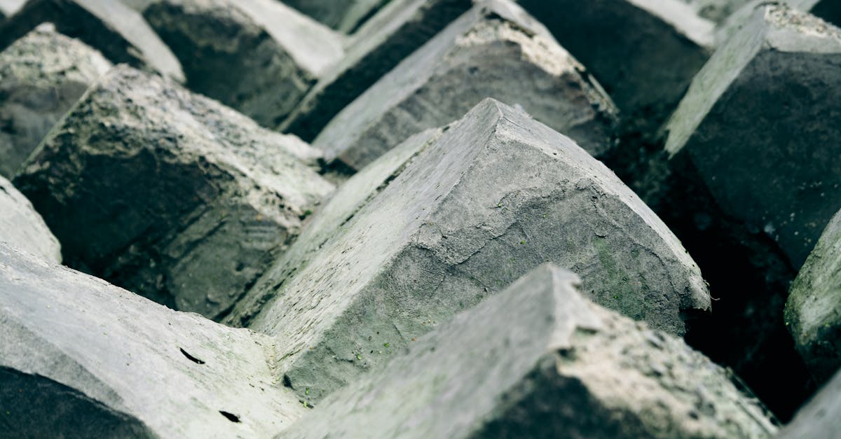 Alignment in Graphic Design: Rules, Grid Systems & Examples