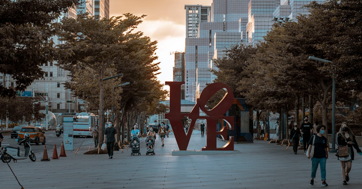 Collection of clean modern sans-serif fonts