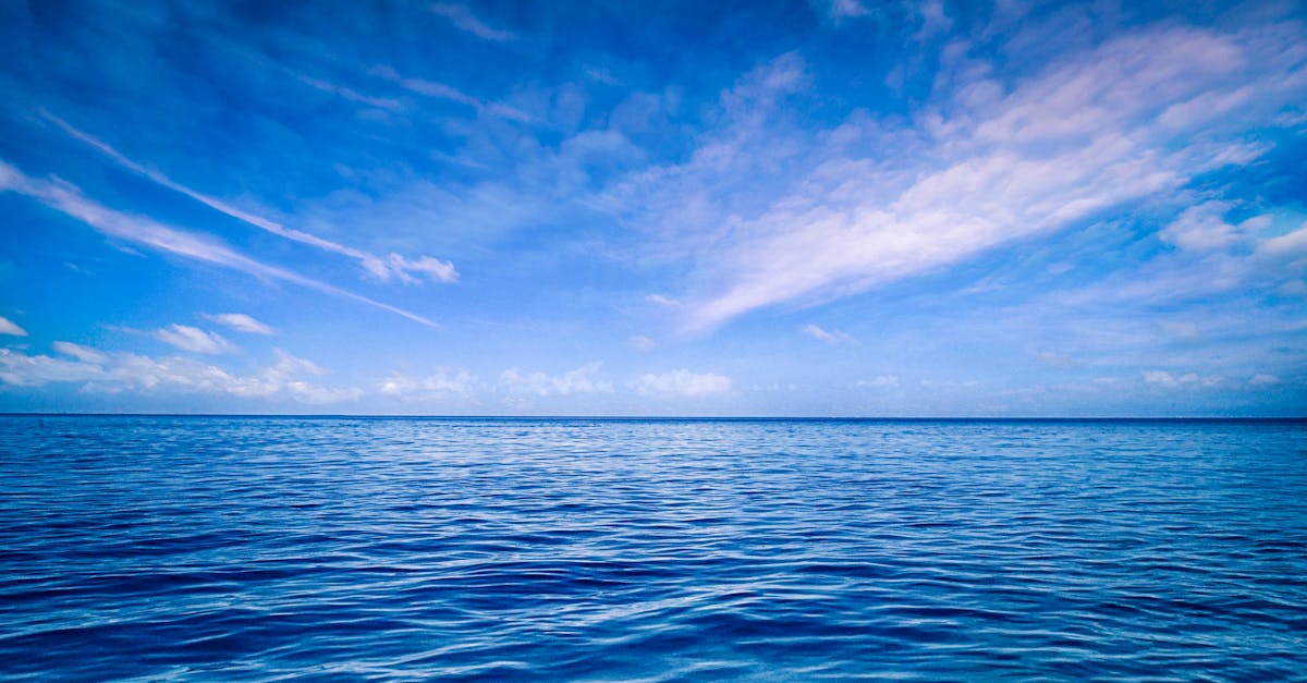 blue color palette - comprehensive guide and examples