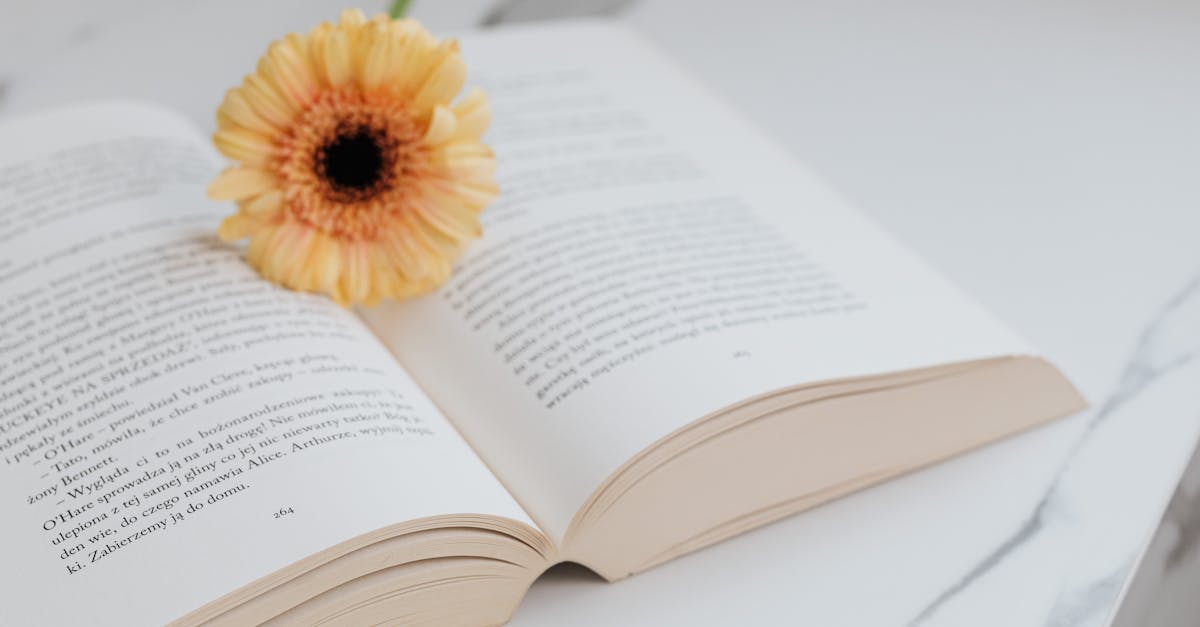 caslon font pairing - comprehensive guide and examples