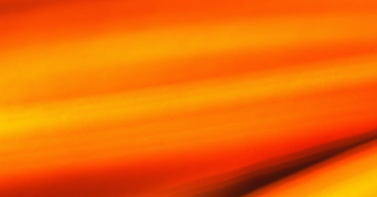 High contrast graphic design with bold colors and typography