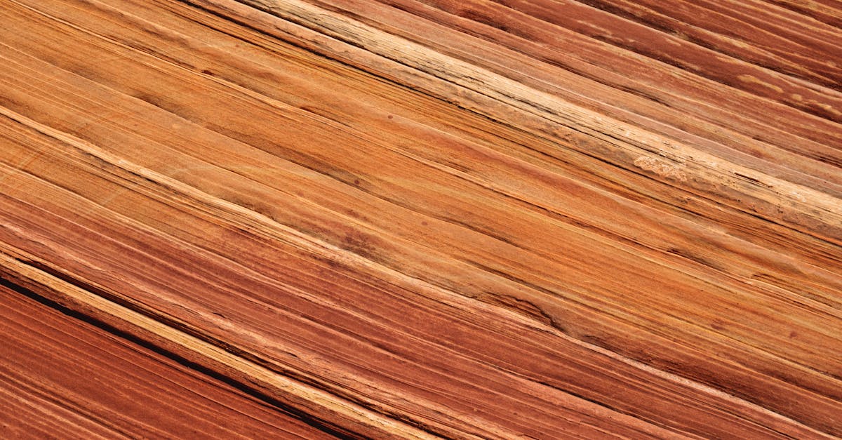 earth tone color palette - comprehensive guide and examples