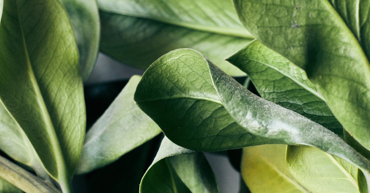 green color palette - comprehensive guide and examples