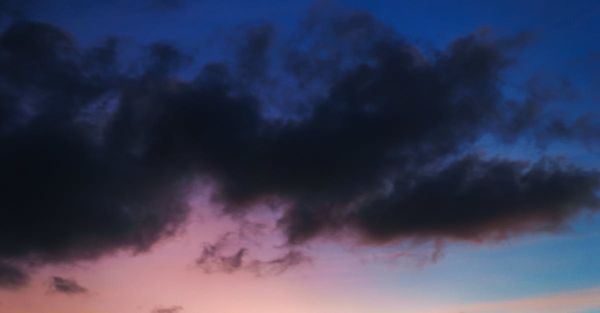 Indigo vs Violet: What’s the Difference?