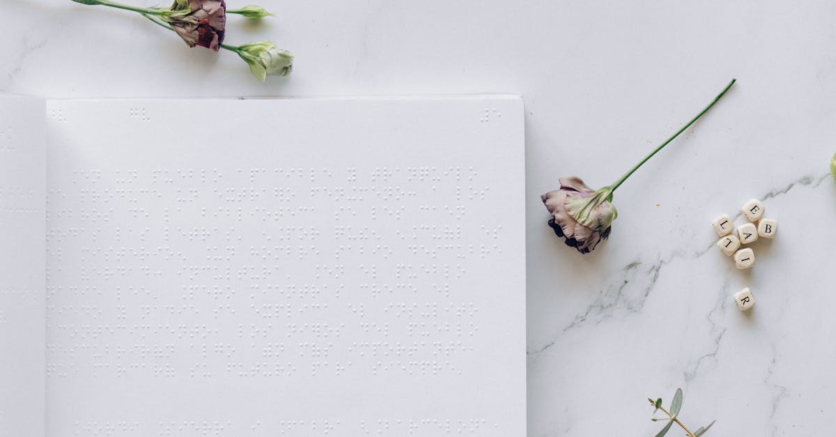 Elegant serif typography suitable for book design