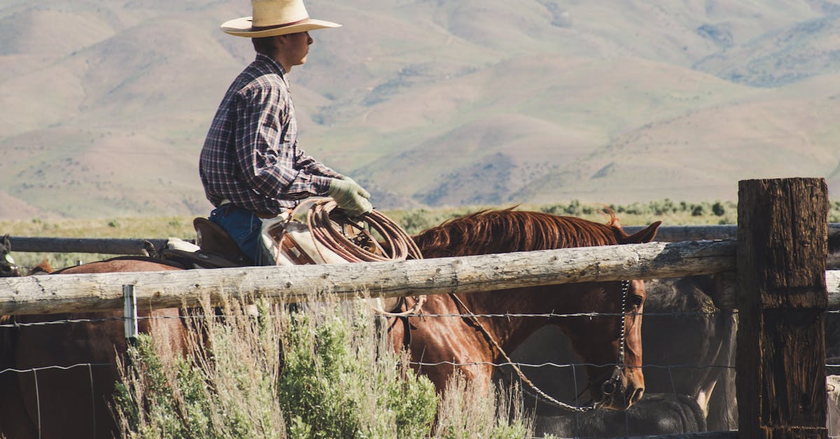 Marlboro Font: The Typography Behind an Iconic Brand Identity
