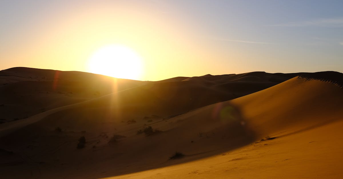 Tan vs Beige: What’s the Difference?