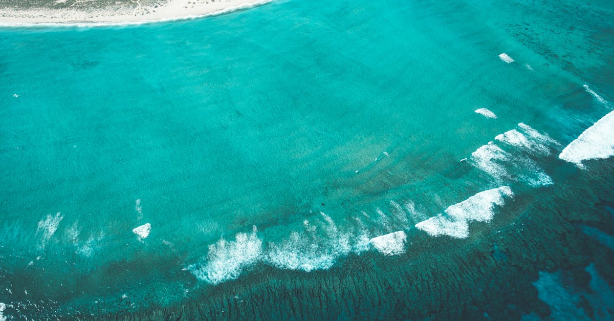 Teal vs Turquoise: What’s the Difference?