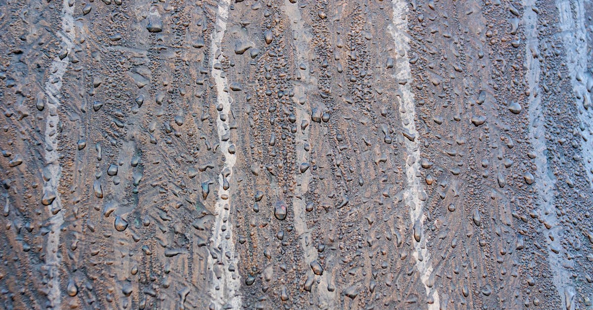 Texture in Graphic Design: Adding Depth and Character