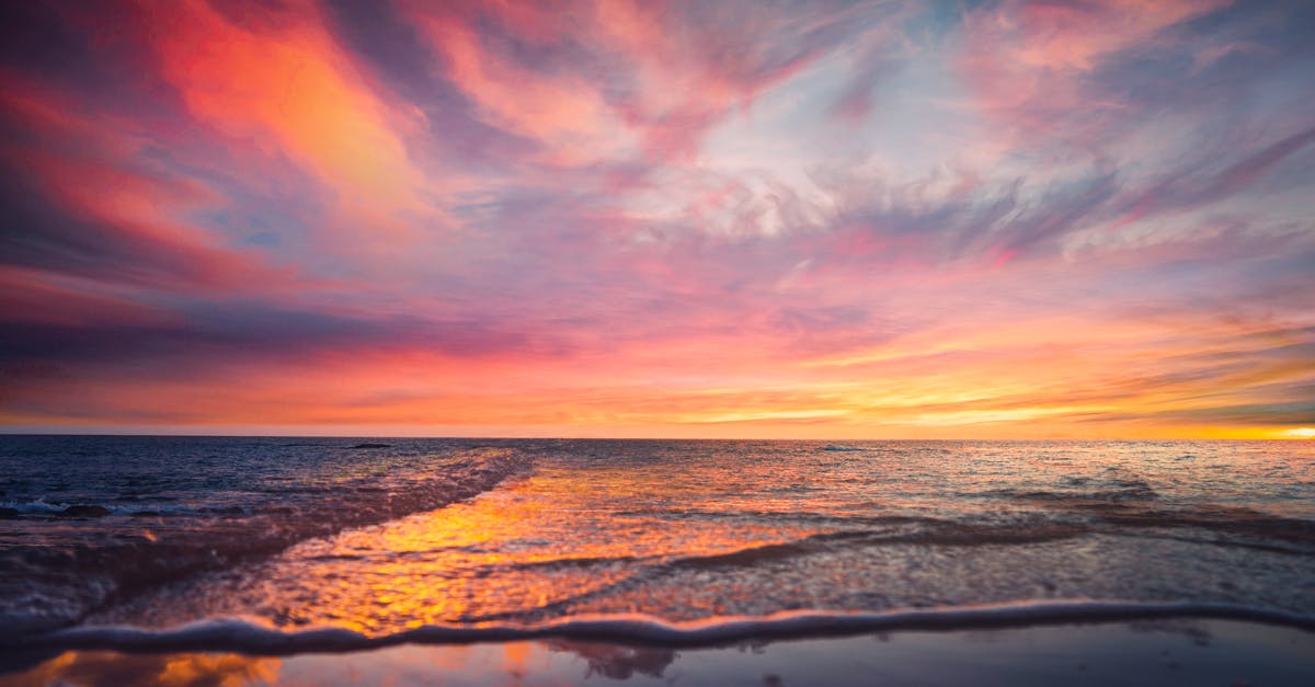 warm vs cool colors - comprehensive guide and examples