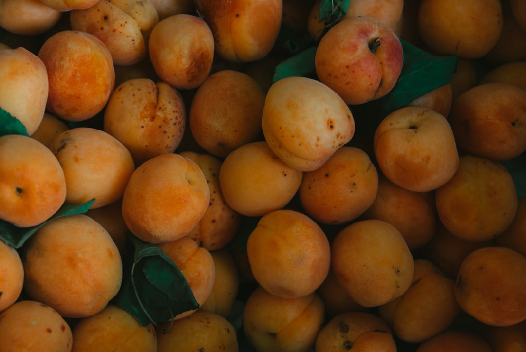 Apricot Color Meaning and Symbolism (Hex #FBCEB1)