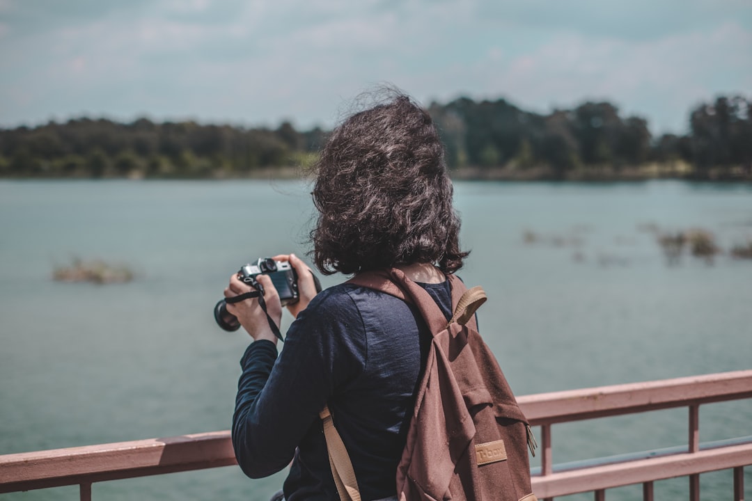 free photo editors — guide and examples