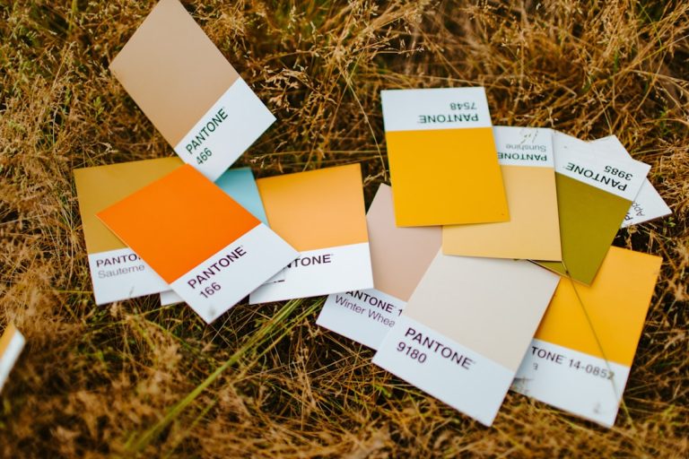 Fall Color Palettes (With Hex Codes)