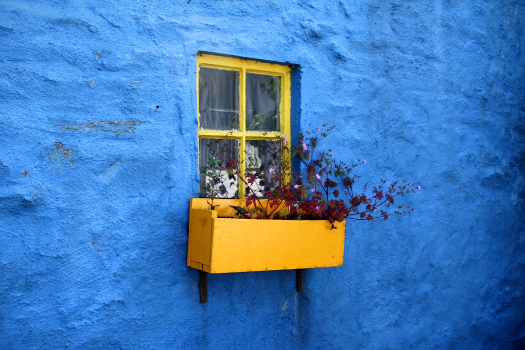 colors that go with blue — guide and examples