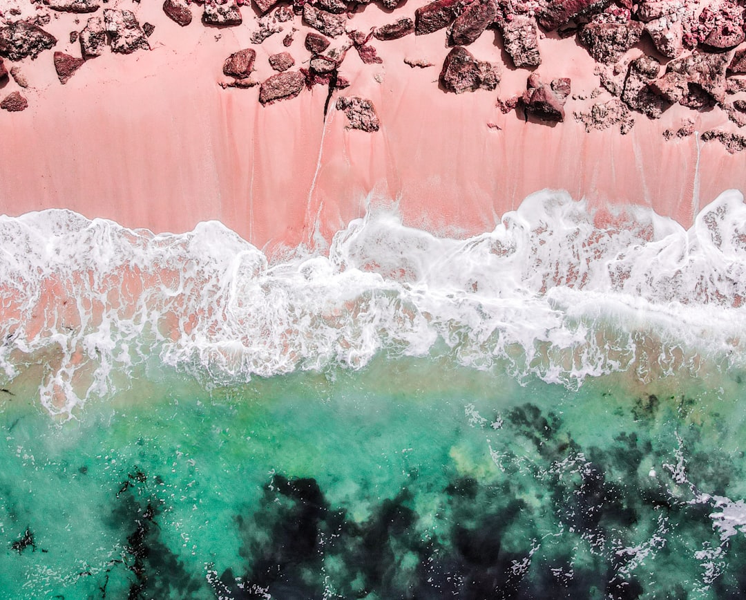 coral vs pink — guide and examples