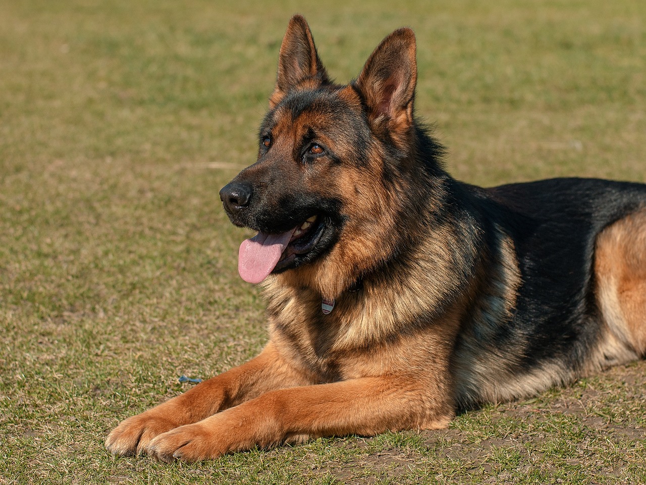 eb garamond vs garamond — guide and examples