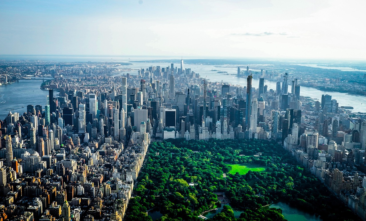 gotham vs proxima nova — guide and examples