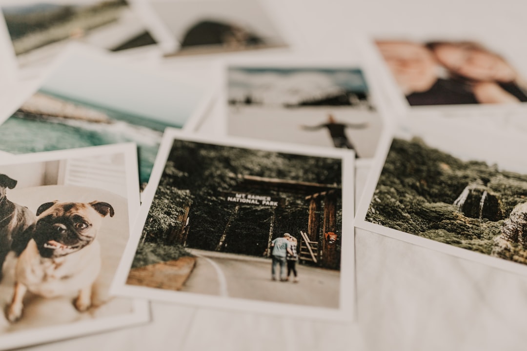 Image File Formats: JPG, PNG, WebP, SVG
