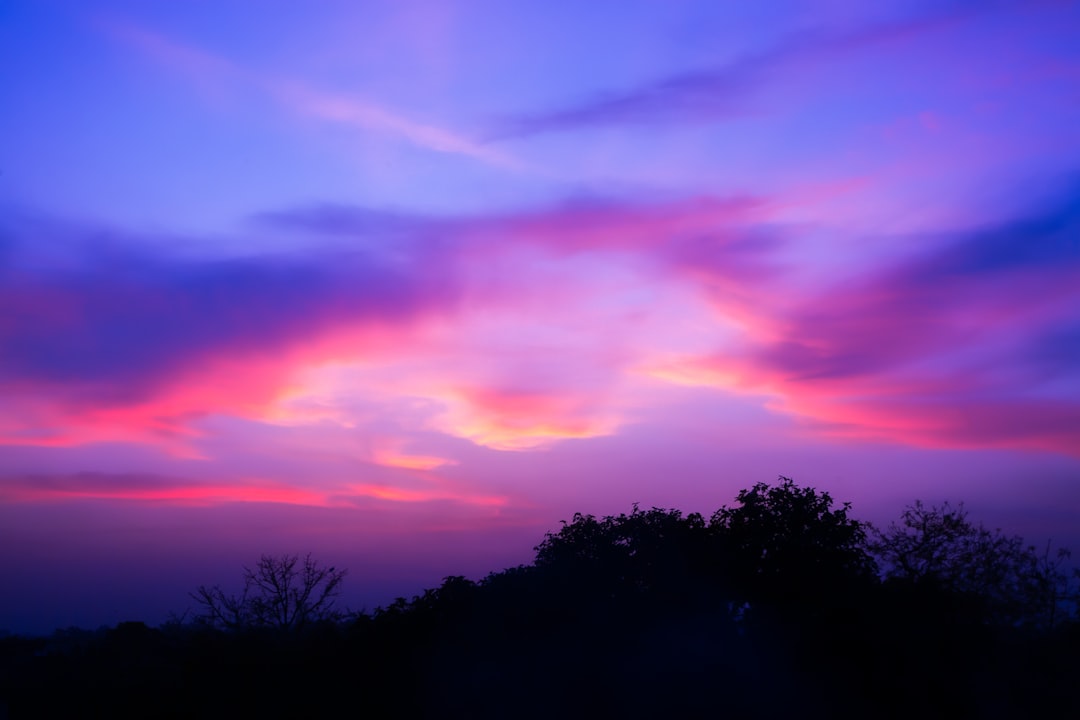 mauve color meaning — guide and examples