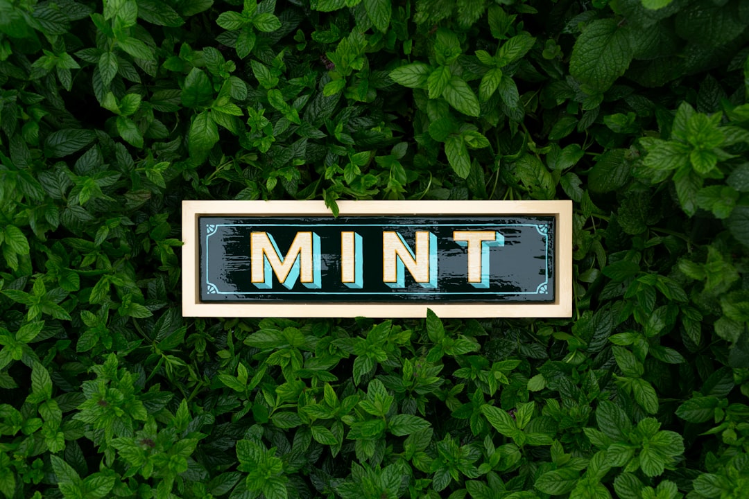 mint color meaning — guide and examples