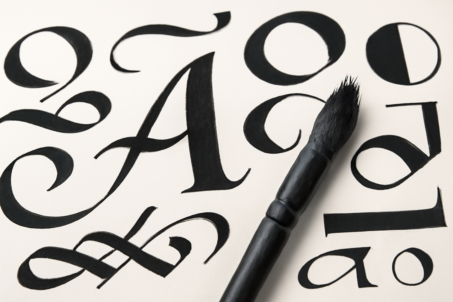 mojo mushroom font — guide and examples