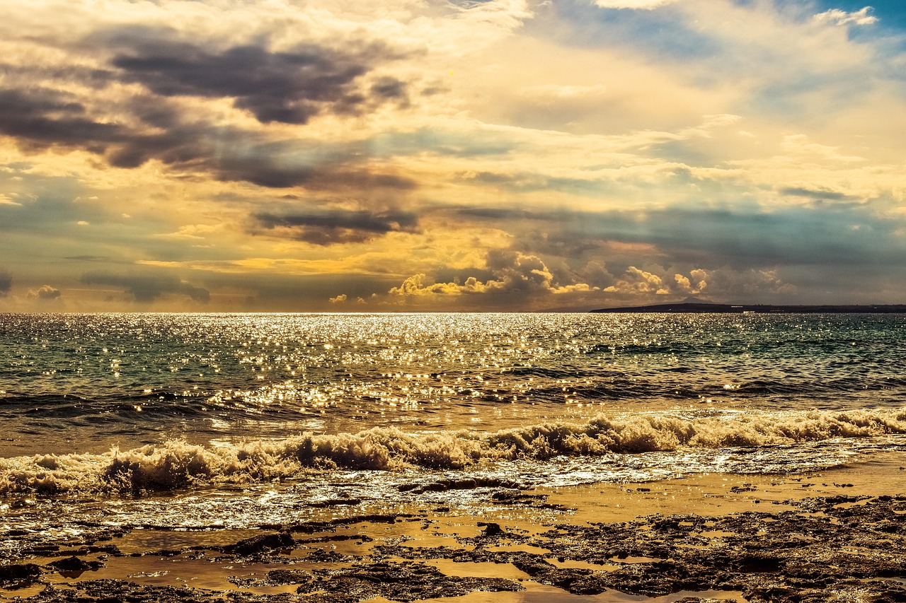 ocean color palette — guide and examples