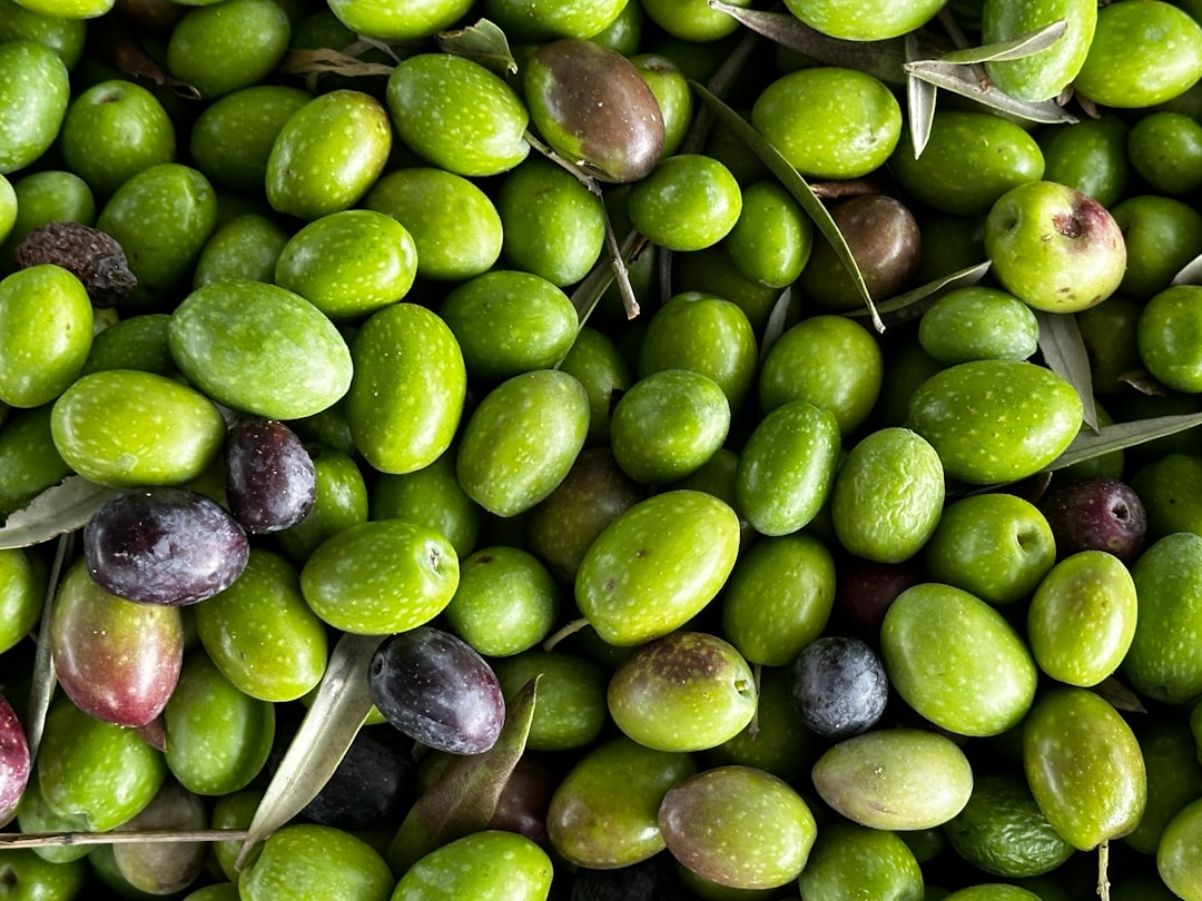 Olive vs Green: What’s the Difference?