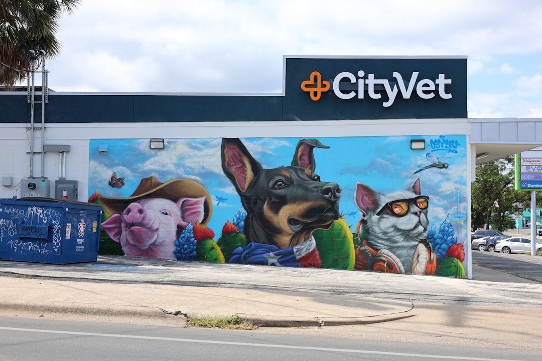 pet brand design — guide and examples