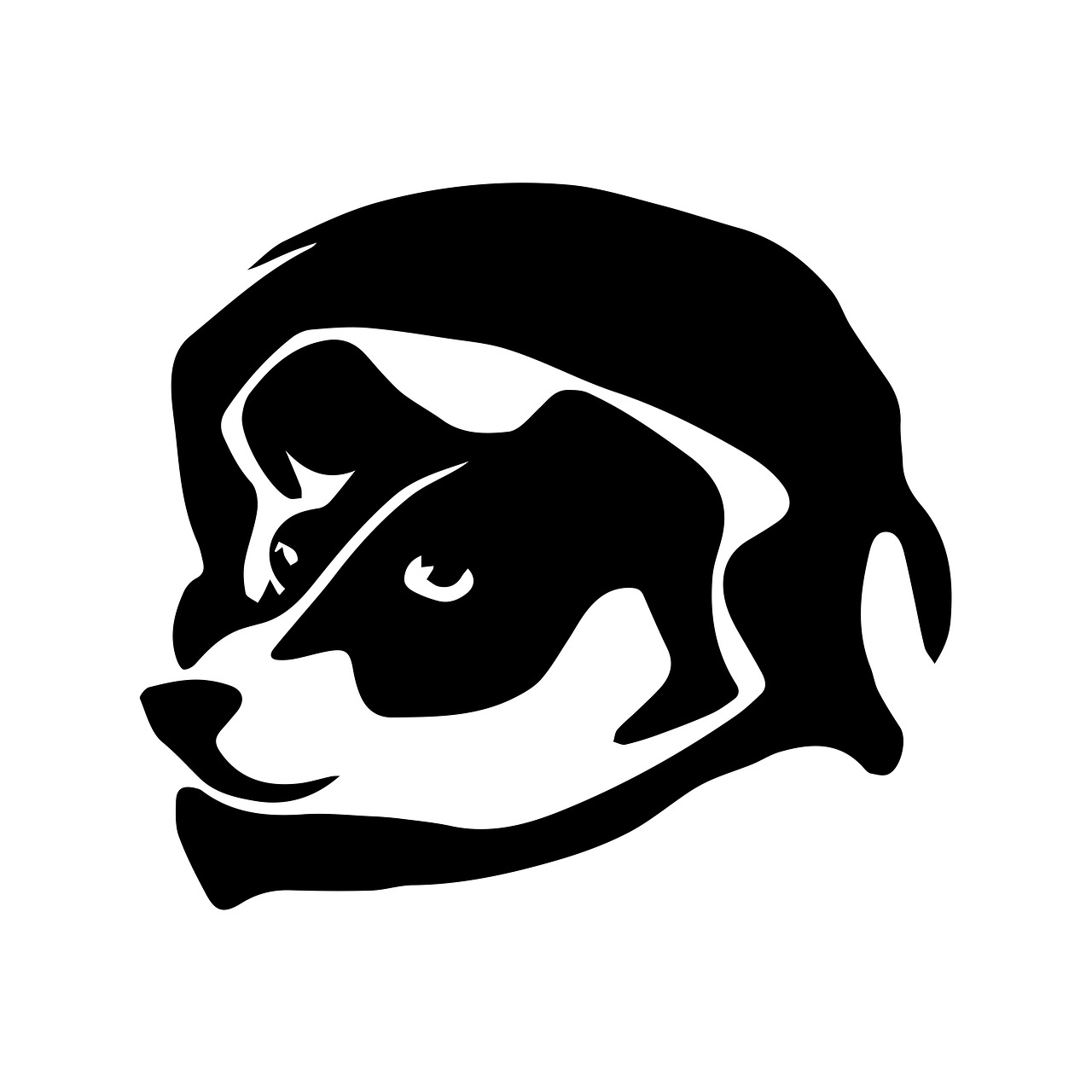 pet shop branding — guide and examples