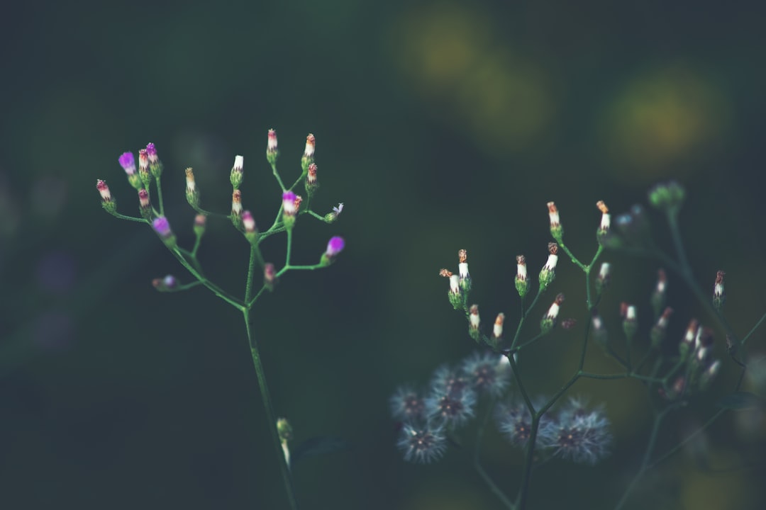 pinterest pin design — guide and examples