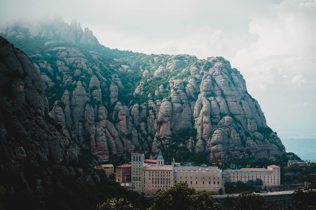 proxima nova vs montserrat — guide and examples
