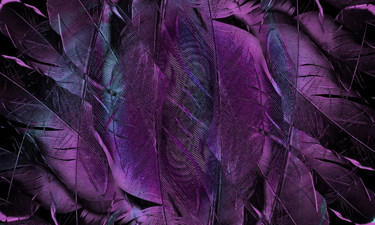 Purple vs Violet: What’s the Difference?