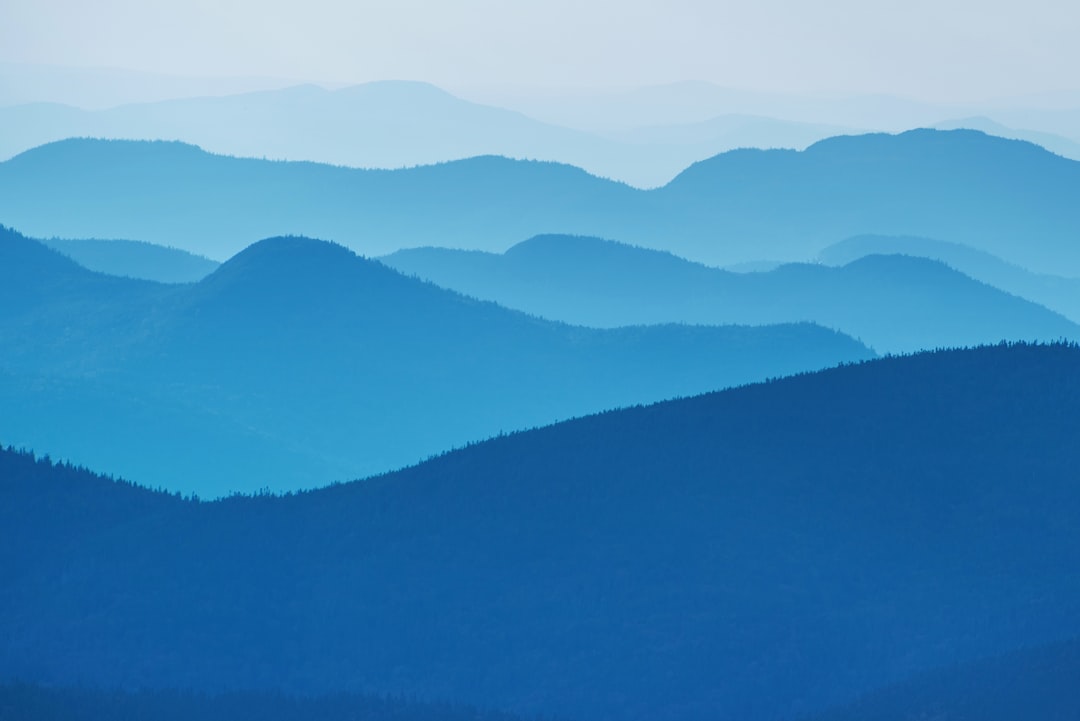 shades of blue — guide and examples