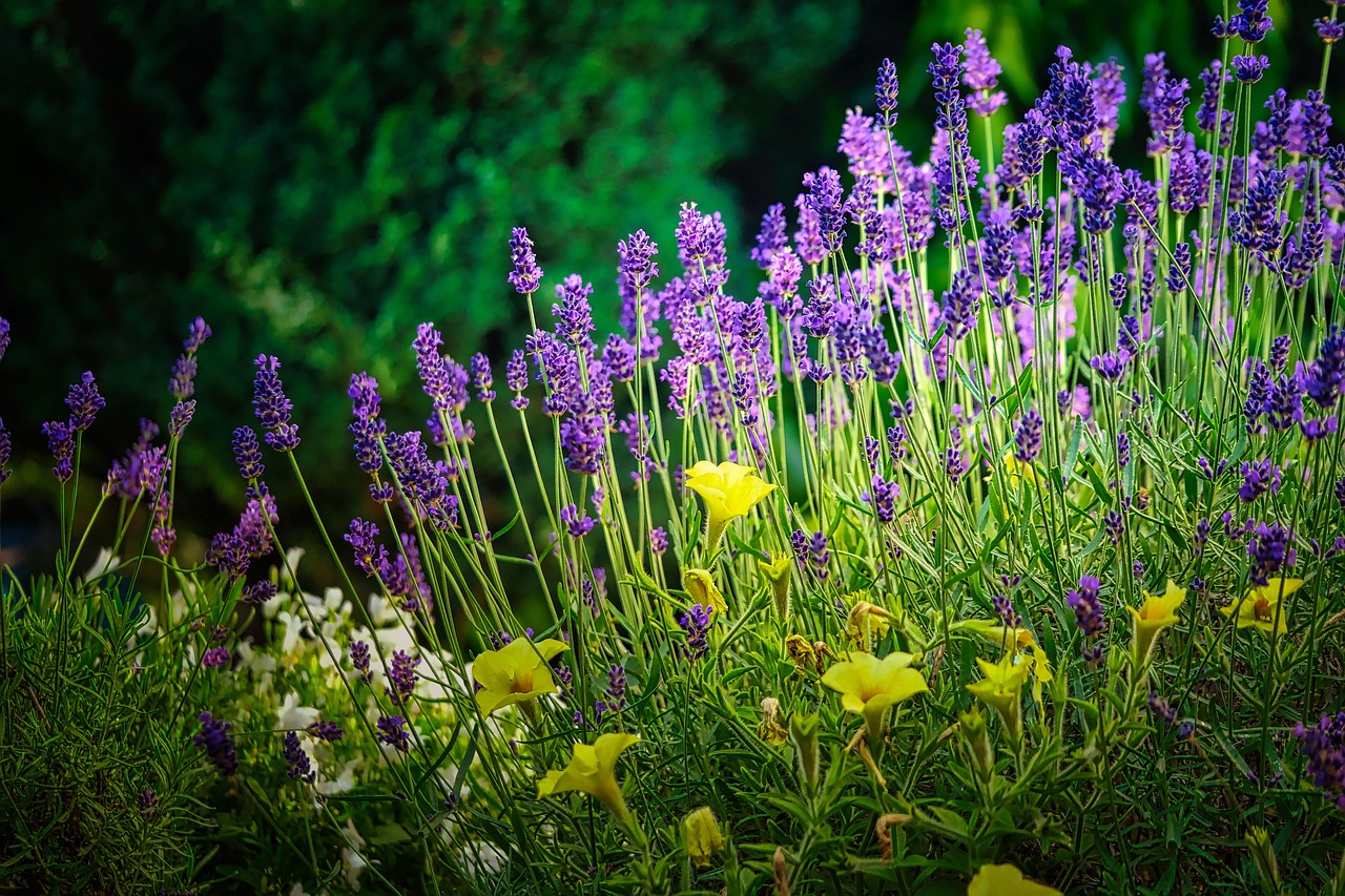 shades of lavender — guide and examples
