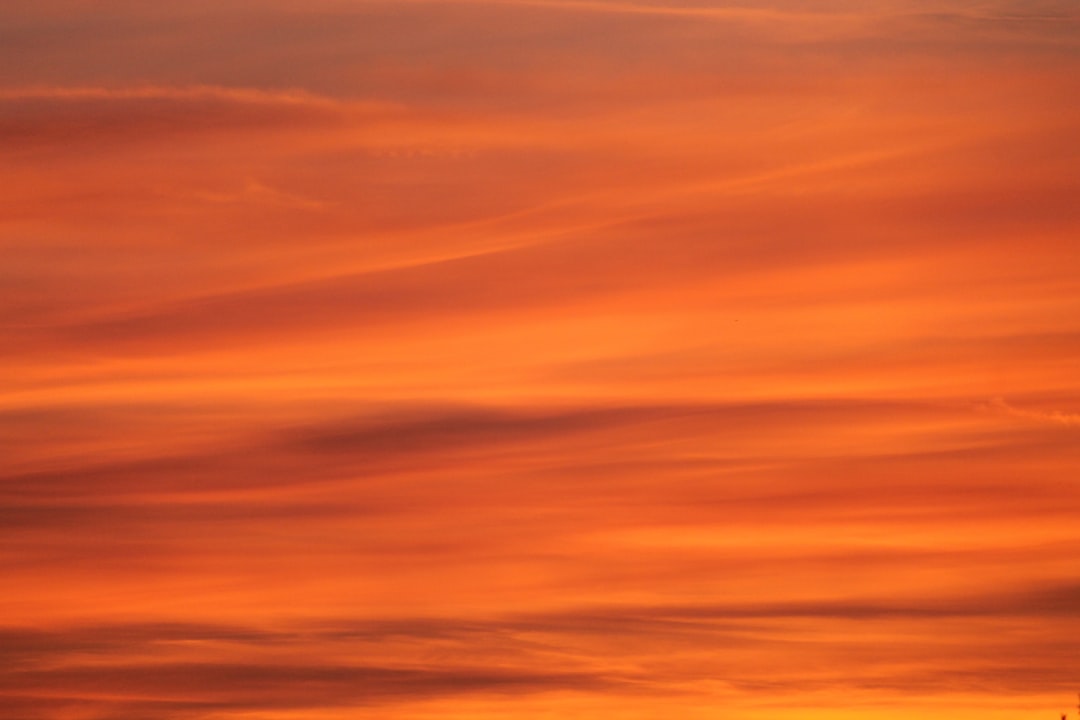 shades of orange — guide and examples
