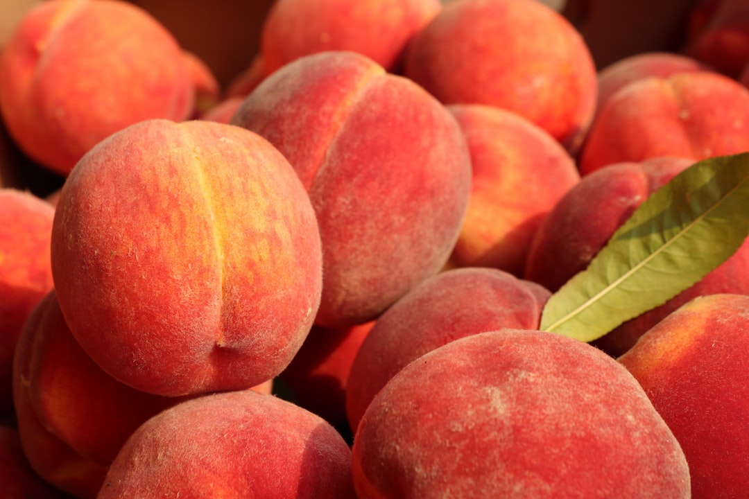 Shades of Peach: Names and Hex Codes